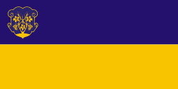 Прапор міста Ужгород